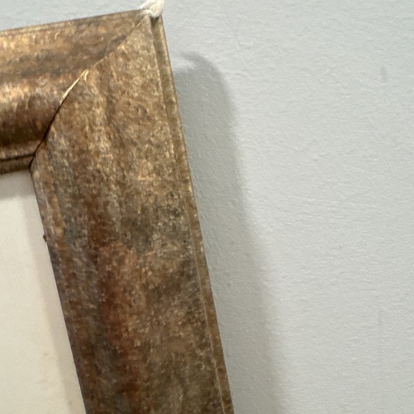 Framed Large Thomas D. Mangelsen Catch of the Day Photo Signed Art Print - Picture 8 of 16